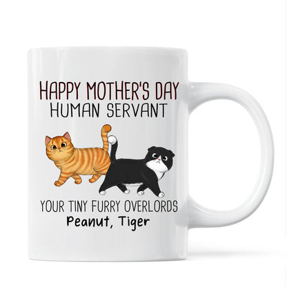 Walking Fluffy Cats Happy Mother's Day Cat Human Servant Personalized Mug