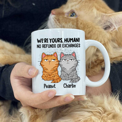 Sorry Human We're Yours Funny Cat Expression Personalized Mug