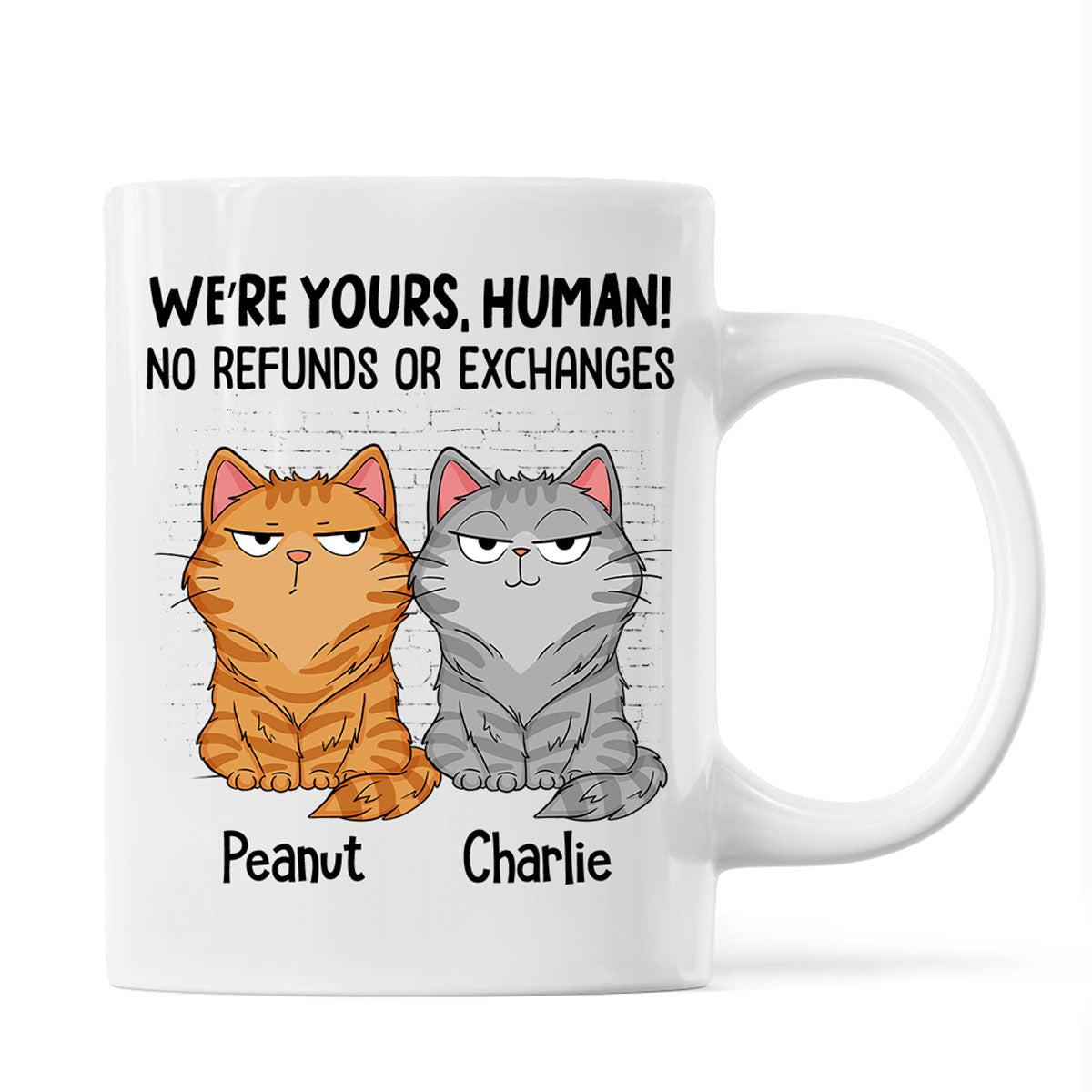 Sorry Human We're Yours Funny Cat Expression Personalized Mug