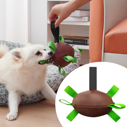 Doggy Football Toy