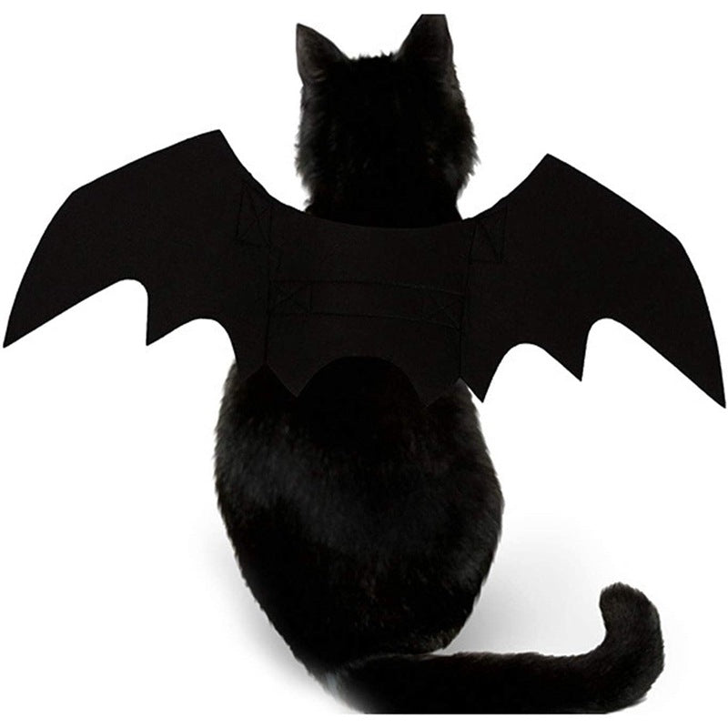 Halloween Kitty Bat Wings