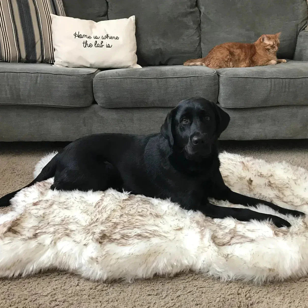 Faux Fur Dog Bed
