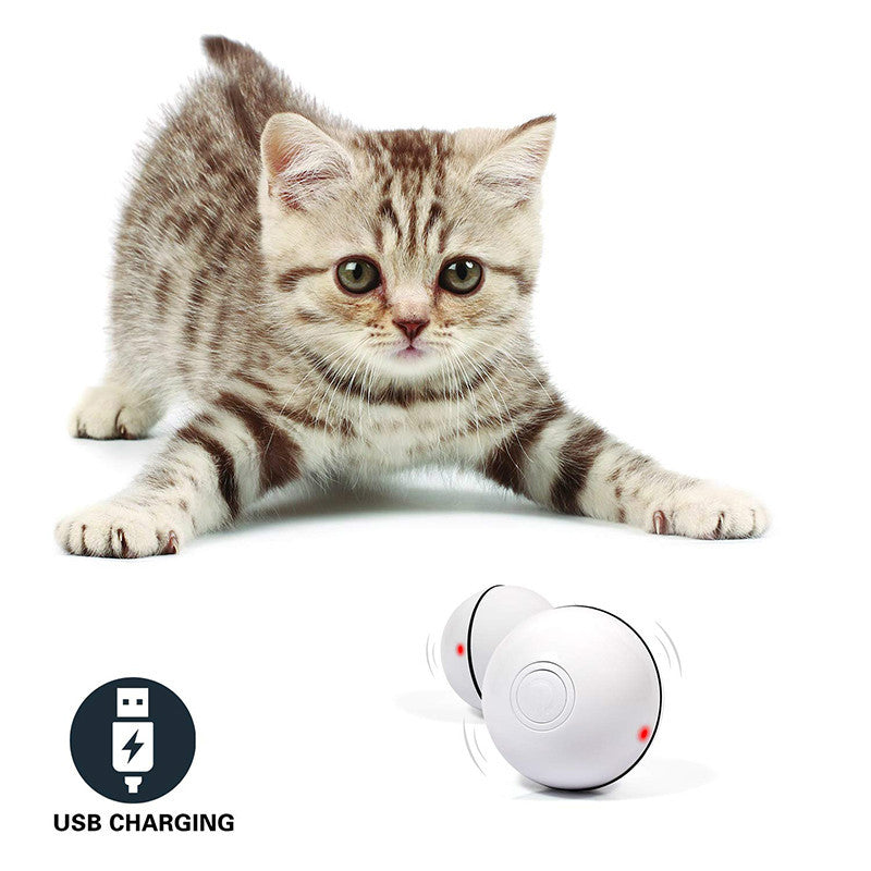 LED Laser Rolling Ball Interactive Electronic Cat Toy