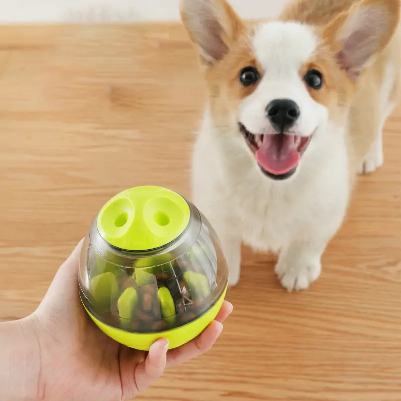 Pet Enrichment Food & Treat Toys