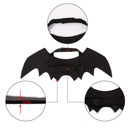 Halloween Kitty Bat Wings