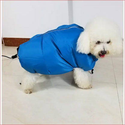 Dog dryer bag. Pet accessories. Quickly and easily dry.