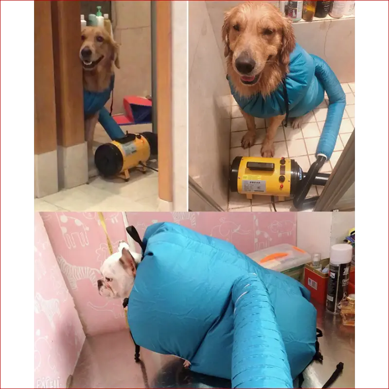 Dog dryer bag. Pet accessories. Quickly and easily dry.