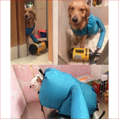 Dog dryer bag. Pet accessories. Quickly and easily dry.