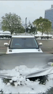 Car Windshield Snow And Sun Cover