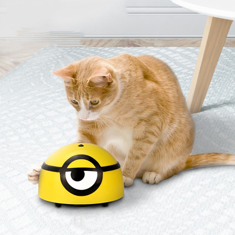 Minion Robot Pet Toy