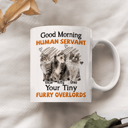 Custom Photo Good Morning Human Servant Cat Mug DA199 890264