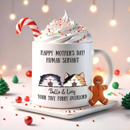 Merry Christmas Human Servant To Cat Lover Mug TH10 892189