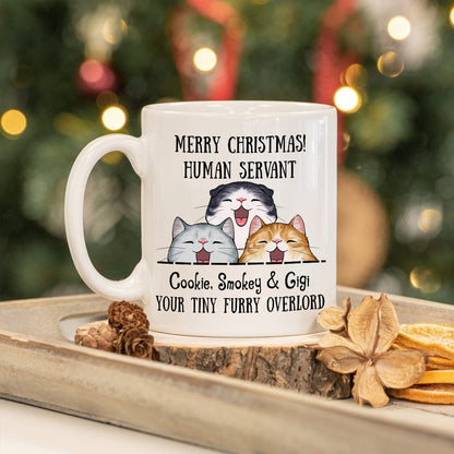 Merry Christmas Human Servant To Cat Lover Mug TH10 892189