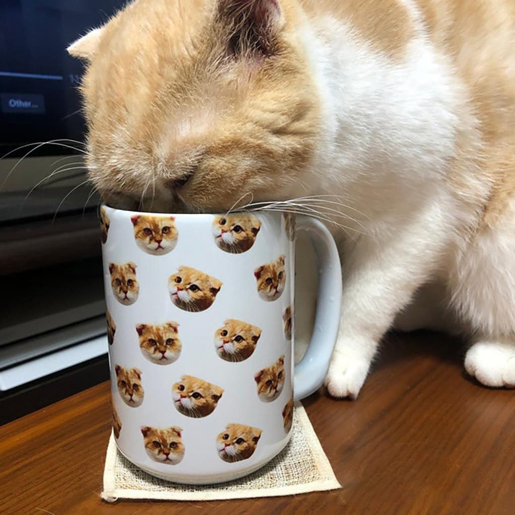 Upload Image Portrait Coffee Mug For Dog Cat, T368 HN590