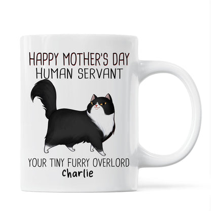 Happy Mother's Day Human Servant Cartoon Walking Cat Personalized Mug