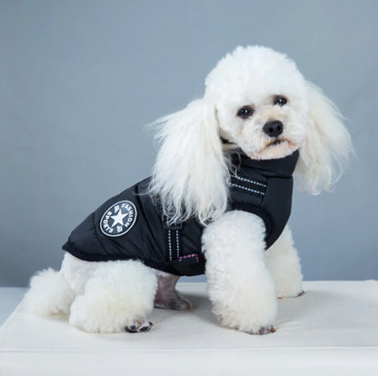 Dog Winter Waterproof Jacket