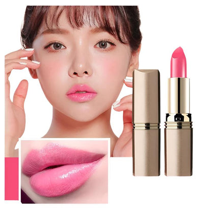 Multi-Functional Long-Lasting Color Lipstick