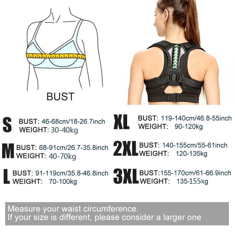 Ergonomic Posture Support Belt
