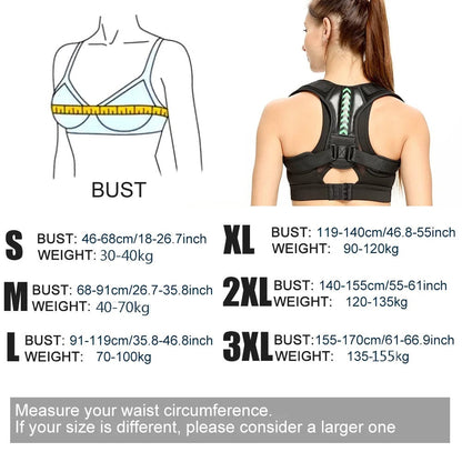 Ergonomic Posture Support Belt