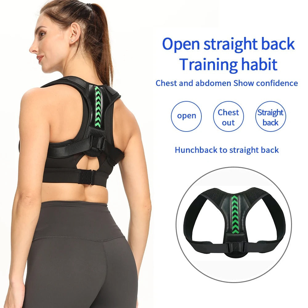 Ergonomic Posture Support Belt
