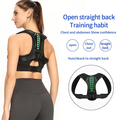 Ergonomic Posture Support Belt