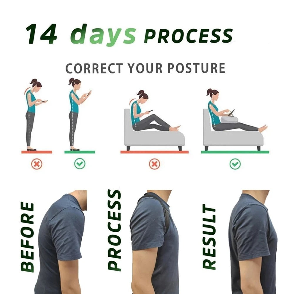 Ergonomic Posture Support Belt