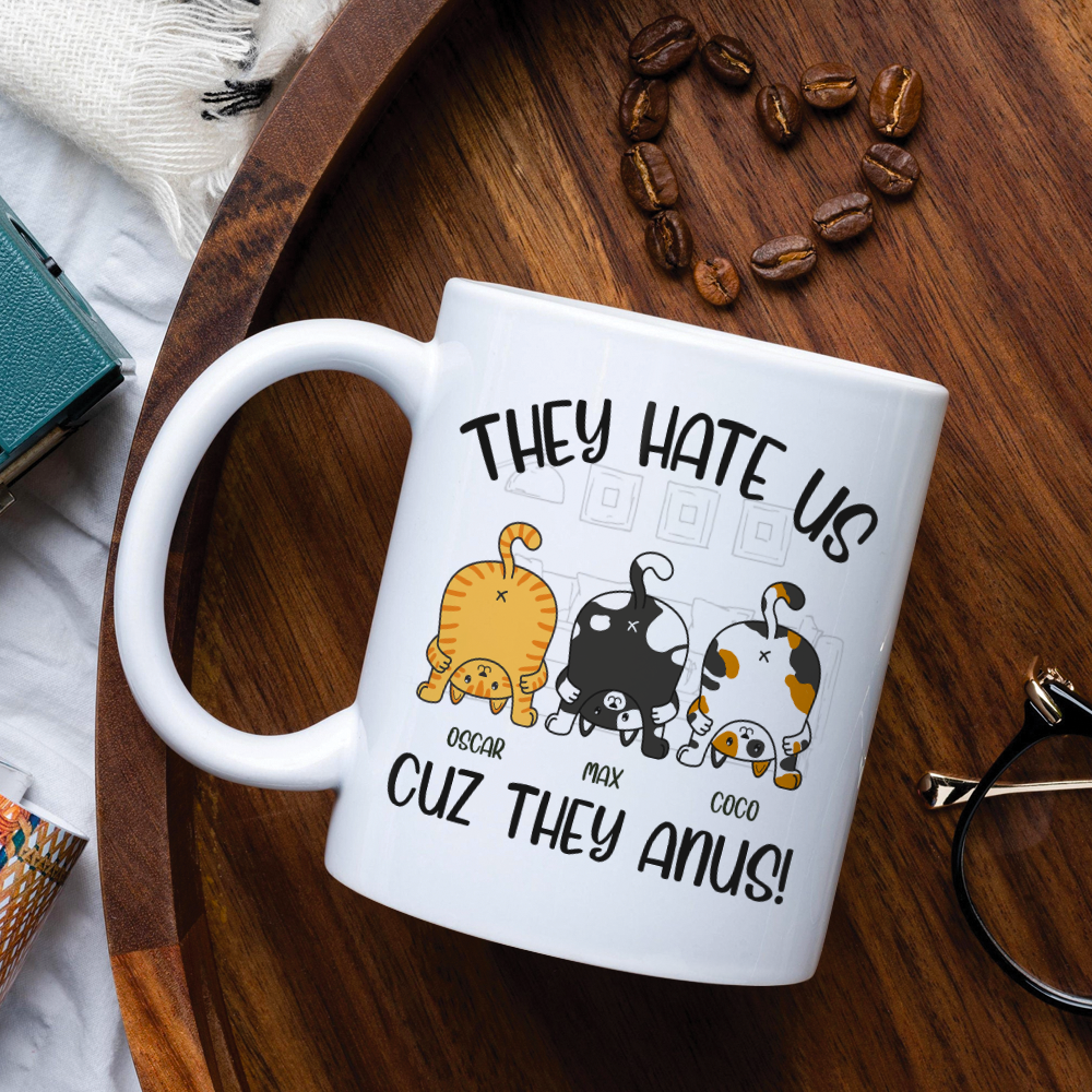 They Hate Us Cuz They Anus Personalized Cat Mug, Gift For Cat Lovers