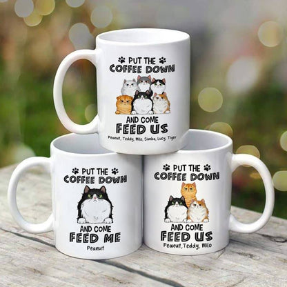Grumpy Fluffy Cats Personalized Mug