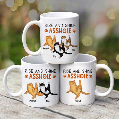 Rise And Shine Sassy Fluffy Cats Personalized Mug