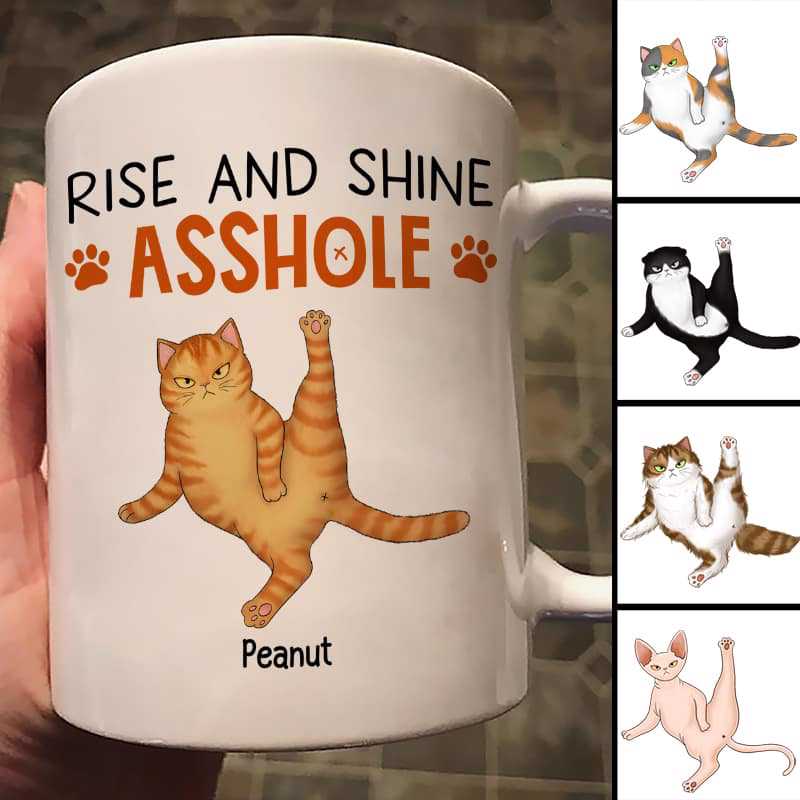 Rise And Shine Sassy Fluffy Cats Personalized Mug