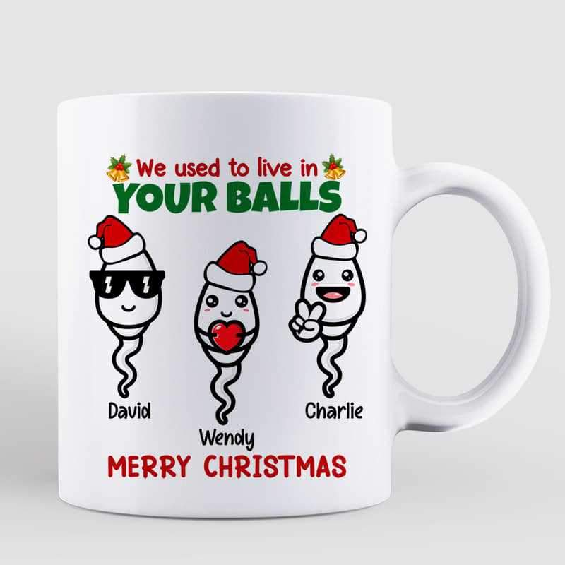 We Used To Live In Your Ball Funny Christmas Gift For Dad Personalized Mug