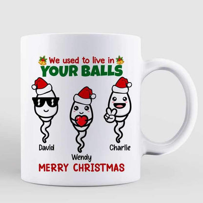 We Used To Live In Your Ball Funny Christmas Gift For Dad Personalized Mug