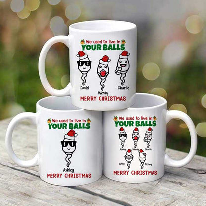 We Used To Live In Your Ball Funny Christmas Gift For Dad Personalized Mug
