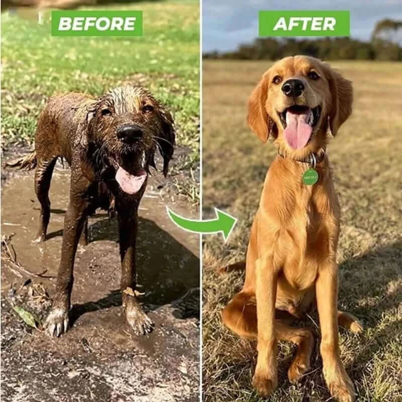 Dog Shower Gun with 3 Mode