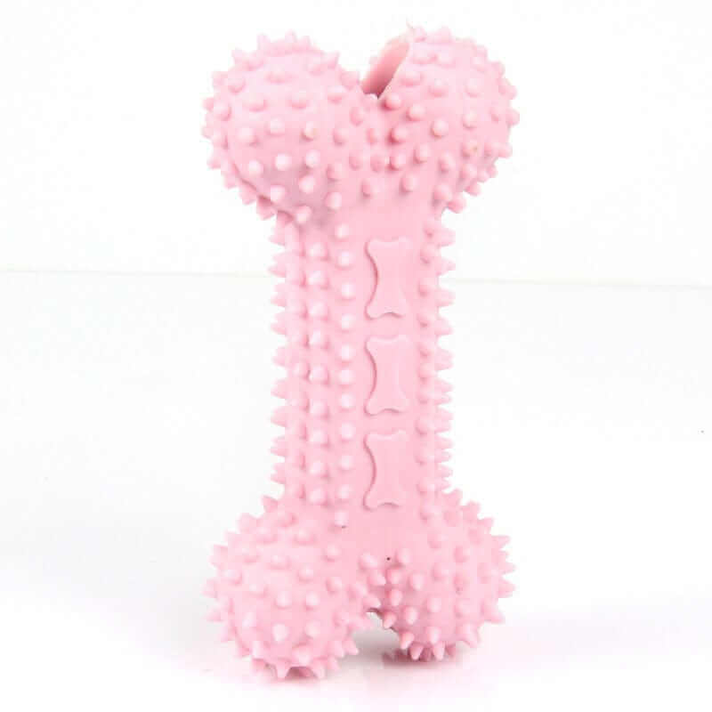 Dog Chew Toothbrush Toy