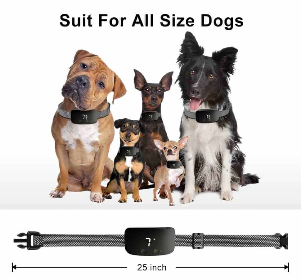 Anti Bark Collars for Small Dogs
