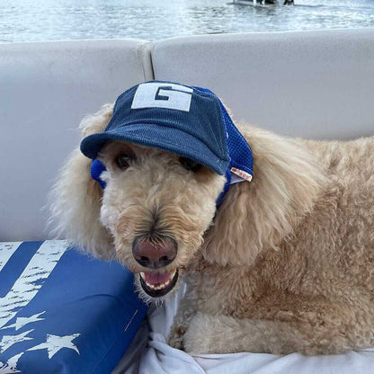 Baseball Cap for Dogs
