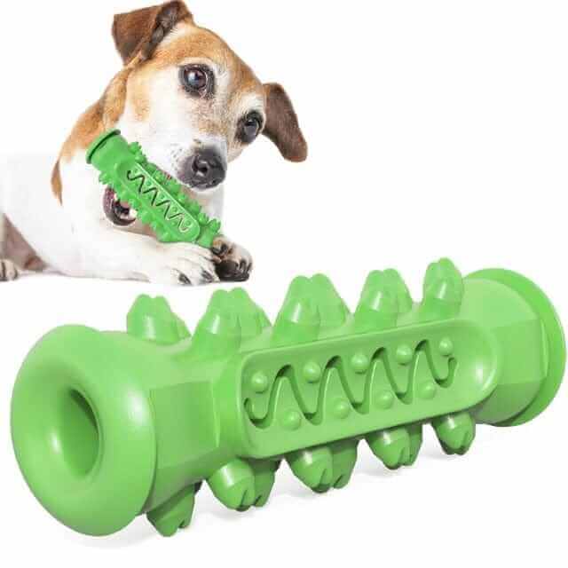 Dog Chew Toothbrush Toy