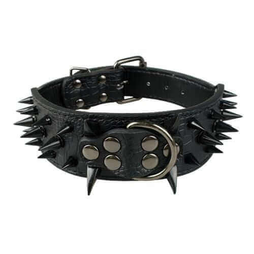 Spiked Leather Dog Collar