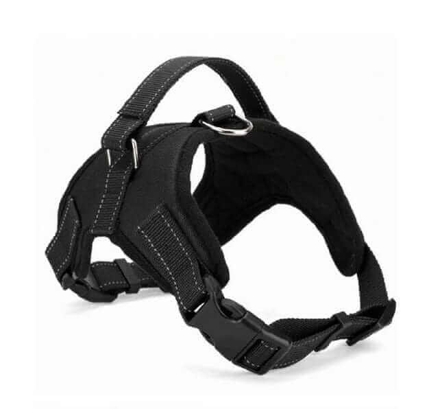 Nylon Dog Harness