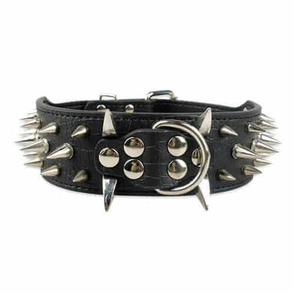 Spiked Leather Dog Collar