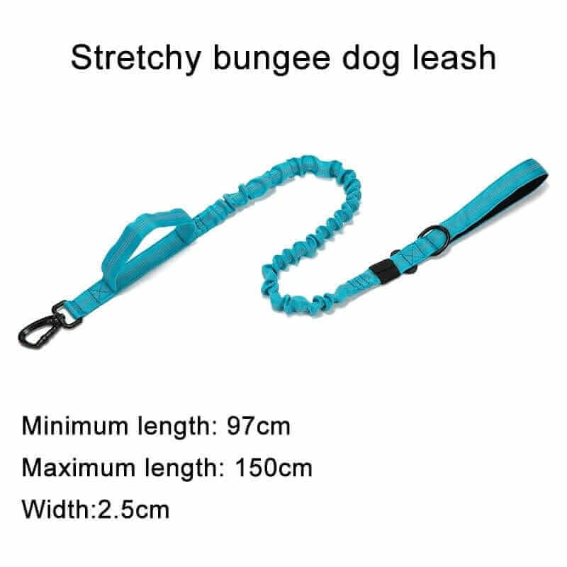Tactical Dog Collar & Leash