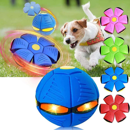 Magic Flying Ball for Dogs
