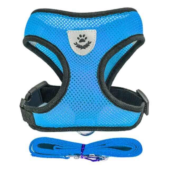 Dog Harness with Leash