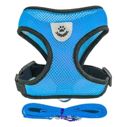 Dog Harness with Leash