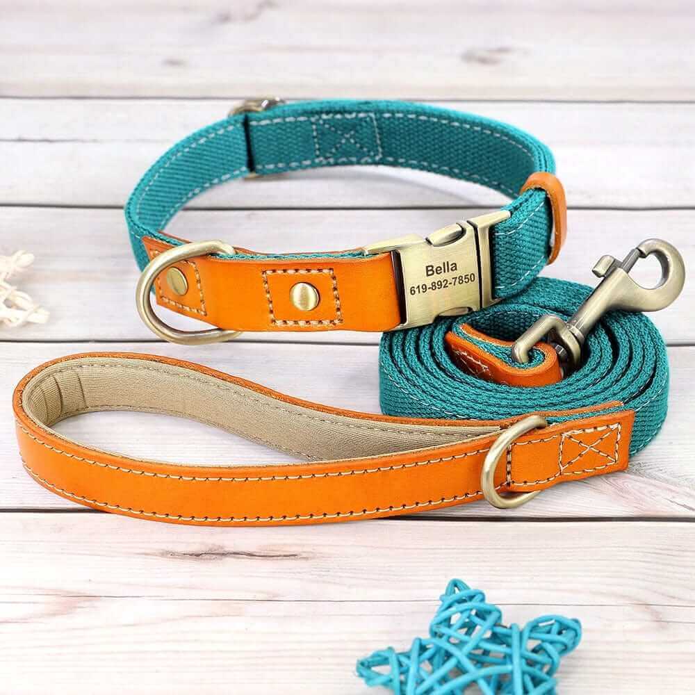 Nylon ID Dog Collar with Leash
