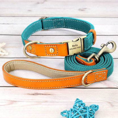 Nylon ID Dog Collar with Leash
