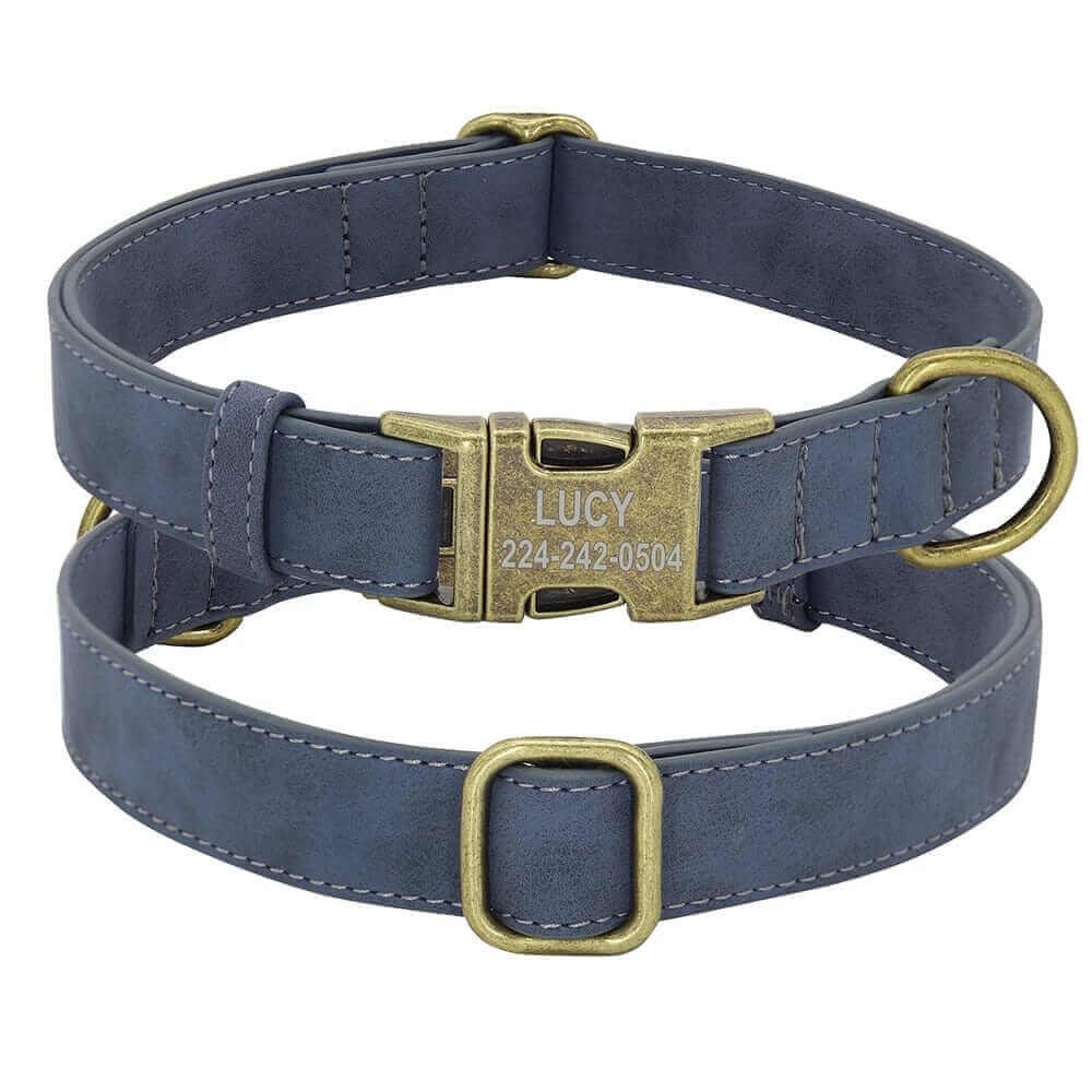 Leader Dog ID Collar