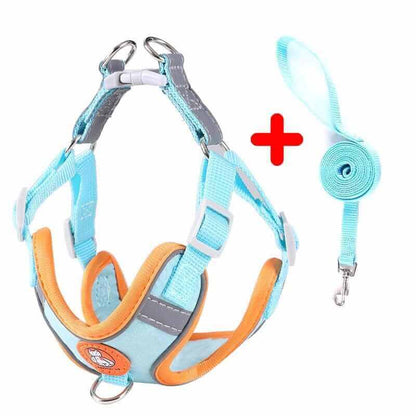 Dog Harness and Leash