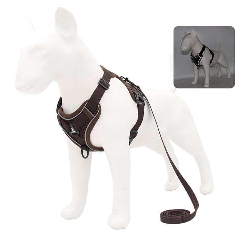Best Adjustable Dog Harness and Leash